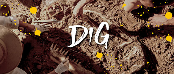 Dig live escape room at Escapism Plymouth